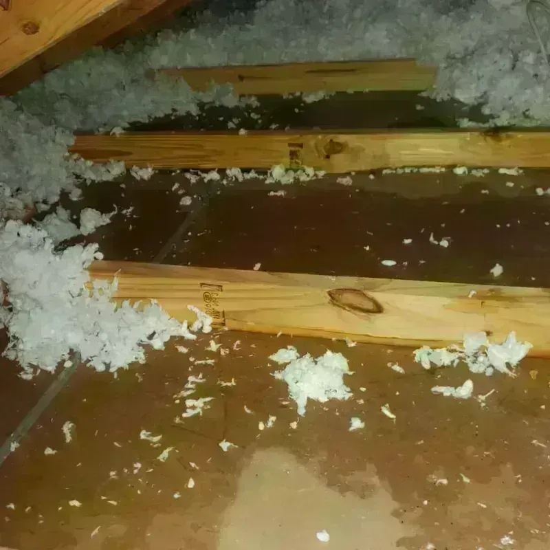 Attic Water Damage in Milan, NM