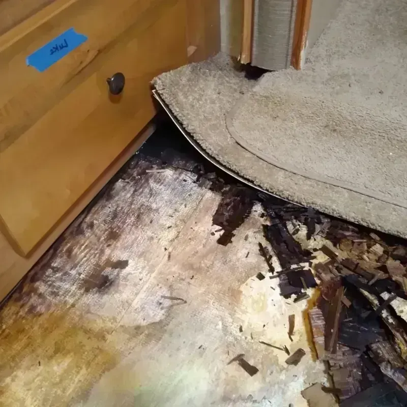 Best Wood Floor Water Damage Service in Milan, NM